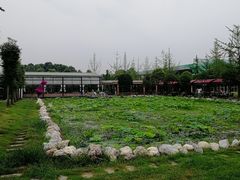 -洪湖家庭农场·团建·露营·会议