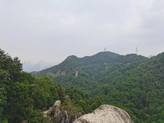 -南山植物园