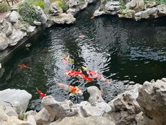 -鲤院·新中式美学·庭院餐厅(夫子庙店)