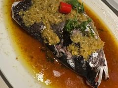 -芙蓉堂(武汉天地店)