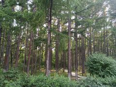 -长春市南湖公园