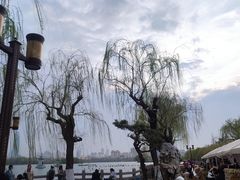 -济南大明湖景区