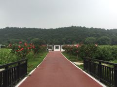 -龙寺生态园