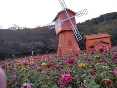 -苏州上方山国家森林公园