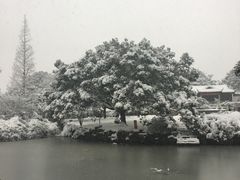 -无锡梅园公园