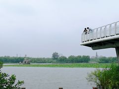 -大兴滨河森林公园