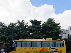 -福建省少年儿童图书馆