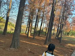 -福州中庚聚龍酒店香汇自助餐厅(南江滨西大道店)