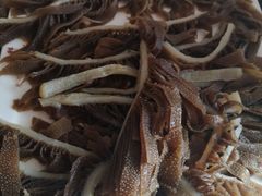 -鼎尚鲜斑鱼莊(新天润店)