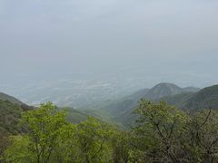 -大觉寺-停车场