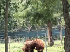 -秦皇岛野生动物园