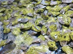 -聚盛源蒸汽海鲜火锅烤肉自助(巨川金海岸购物广场店)