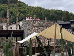 -MOJ coffee(瓯海泽雅水碓坑店)