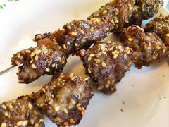 电烤羊肉串-护国寺小吃店(阜成门桥店)