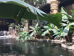 -顺景温泉