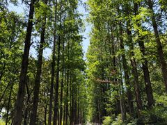 -昆山城市生态森林公园