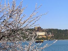 -颐和园