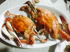 -胖大嫂渔家排档·全海景餐厅(渔村店)