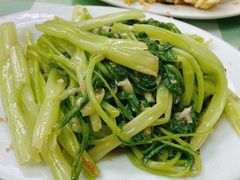 -毛记饭店