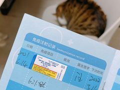 -谐和贝康宠物医院24小时·宠保定点(急重症转诊中心)