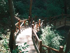 -大岭沟猕猴桃谷风景区