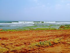 -青岛银沙滩温德姆至尊酒店