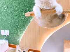 -猫和宫(六道口店)