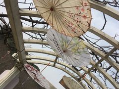 -苏州上方山国家森林公园