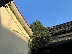 -松云泽