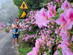 -广州市石门国家森林公园