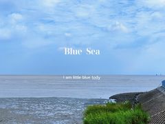 -奉贤海滩