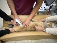 -美联众合动物医院·24h京西诊疗中心