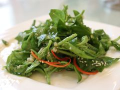 -顺鑫绿色度假村