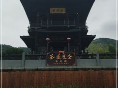 -大唐贡茶院