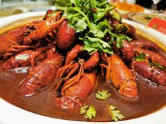 -新日月育才大酒店-中餐厅(环城北路店)