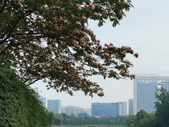 -合肥生态公园