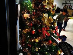 -凤凰湘语·湘粤鲜融(浦东旗舰店)