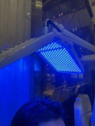 -碧莲盛·不剃发植发