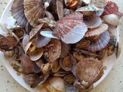 -港畔赶海蒸汽海鲜烧烤自助(仙螺岛店)