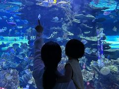 -左海海底世界