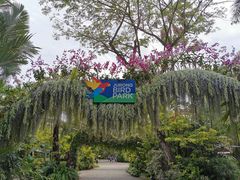 -新加坡飞禽公园