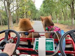 -上海海湾国家森林公园