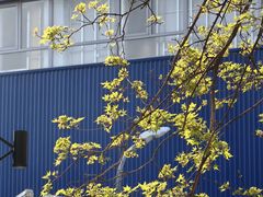 -宜家家居(四元桥商场店)