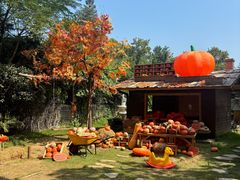 -HERRE·FARM 赫尔露营农场·团建聚会包场