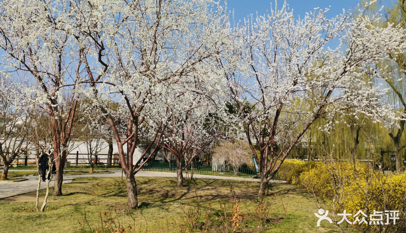 天气不错，又是一年的春天