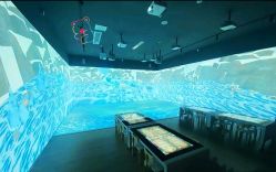 -恐龙探索乐园(磁器口店)