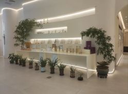 -紫琪尔·匠心连锁·胸部护理养护