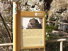 -十九峰景区