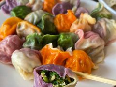 五彩饺子-宝源饺子(麦子店街店)