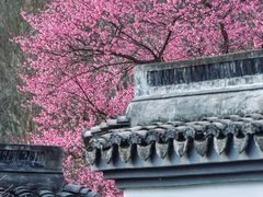 -红烧鱼头·杭帮菜·特色烧烤